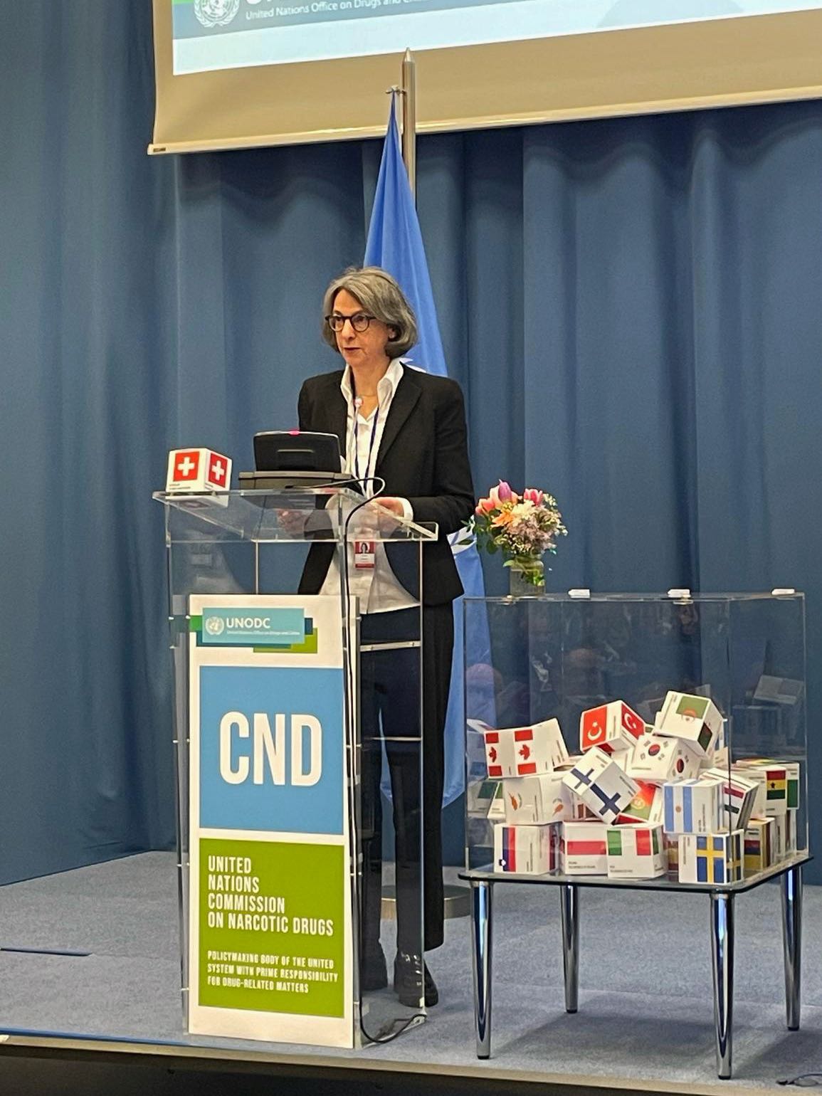 CND Ansprache von BAG Direktorin Anne Lévy